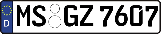 MS-GZ7607