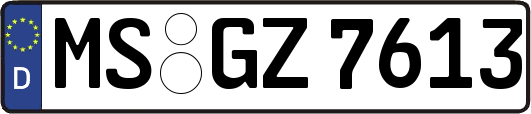 MS-GZ7613