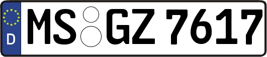 MS-GZ7617