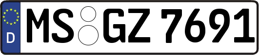MS-GZ7691