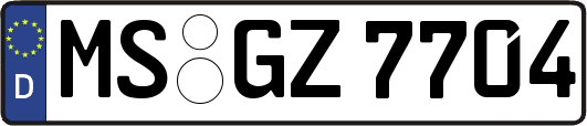 MS-GZ7704