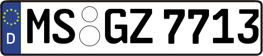 MS-GZ7713