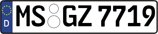 MS-GZ7719