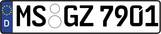 MS-GZ7901