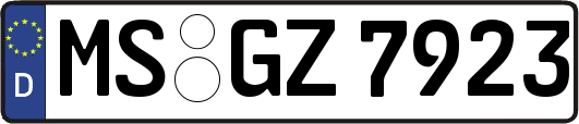 MS-GZ7923