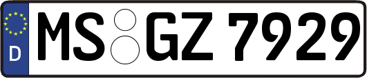 MS-GZ7929