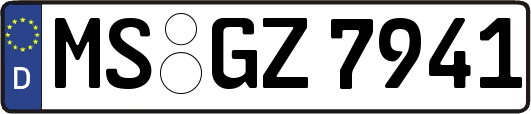 MS-GZ7941