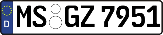 MS-GZ7951