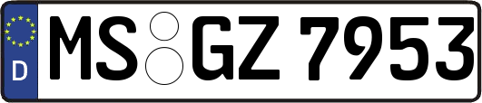 MS-GZ7953