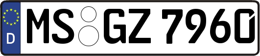 MS-GZ7960