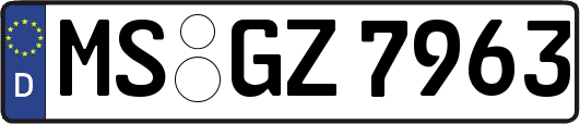 MS-GZ7963