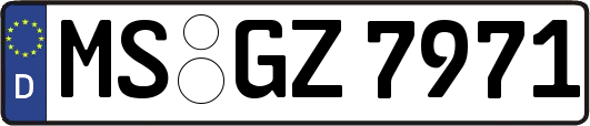 MS-GZ7971