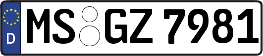 MS-GZ7981