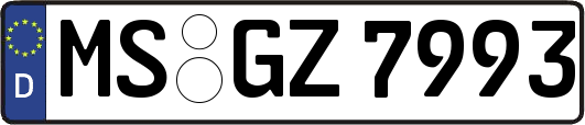 MS-GZ7993