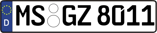 MS-GZ8011