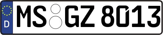 MS-GZ8013