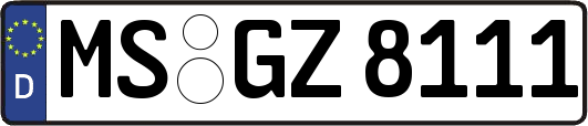 MS-GZ8111