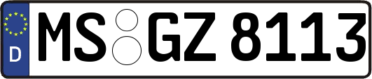 MS-GZ8113