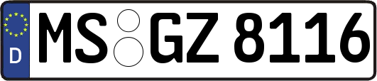 MS-GZ8116