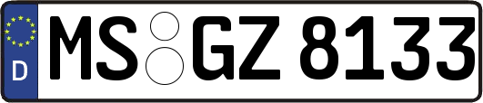 MS-GZ8133