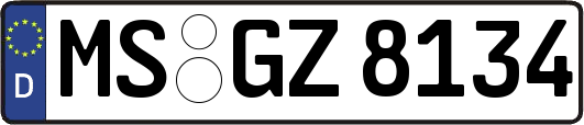 MS-GZ8134