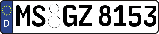 MS-GZ8153