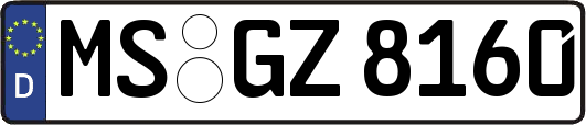 MS-GZ8160
