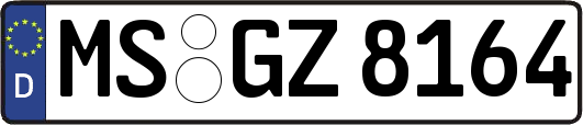 MS-GZ8164