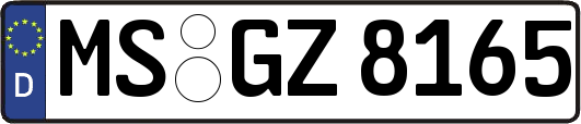 MS-GZ8165