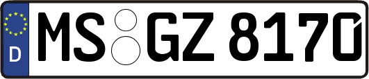 MS-GZ8170