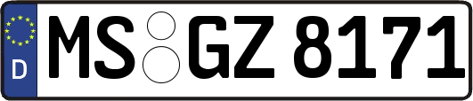 MS-GZ8171