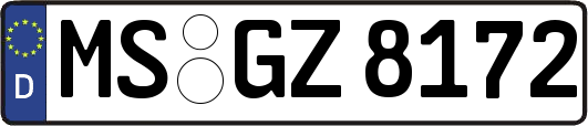 MS-GZ8172