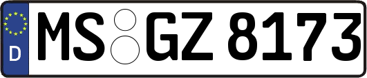 MS-GZ8173