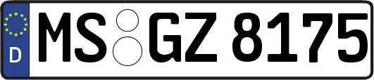 MS-GZ8175