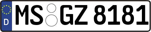 MS-GZ8181