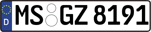 MS-GZ8191