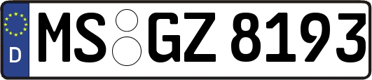 MS-GZ8193