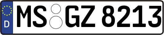MS-GZ8213