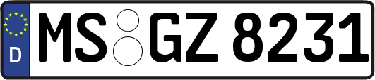 MS-GZ8231