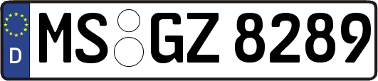 MS-GZ8289