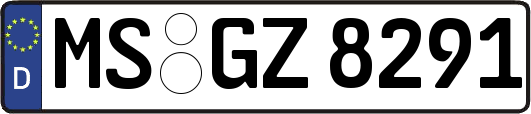 MS-GZ8291