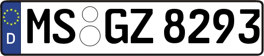 MS-GZ8293