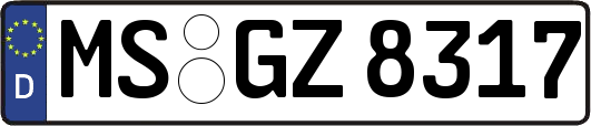 MS-GZ8317