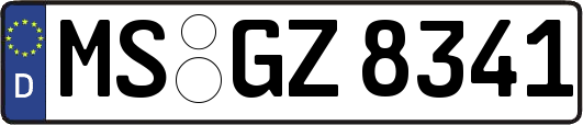 MS-GZ8341
