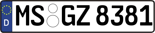 MS-GZ8381