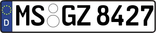 MS-GZ8427