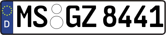 MS-GZ8441