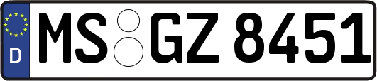 MS-GZ8451
