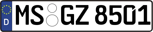 MS-GZ8501