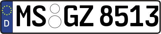 MS-GZ8513